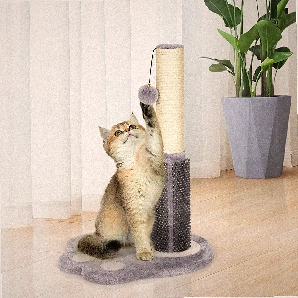 2-in-1 Katzenkratzbaum mit Nachrichtenbürste und baumelndem Ball