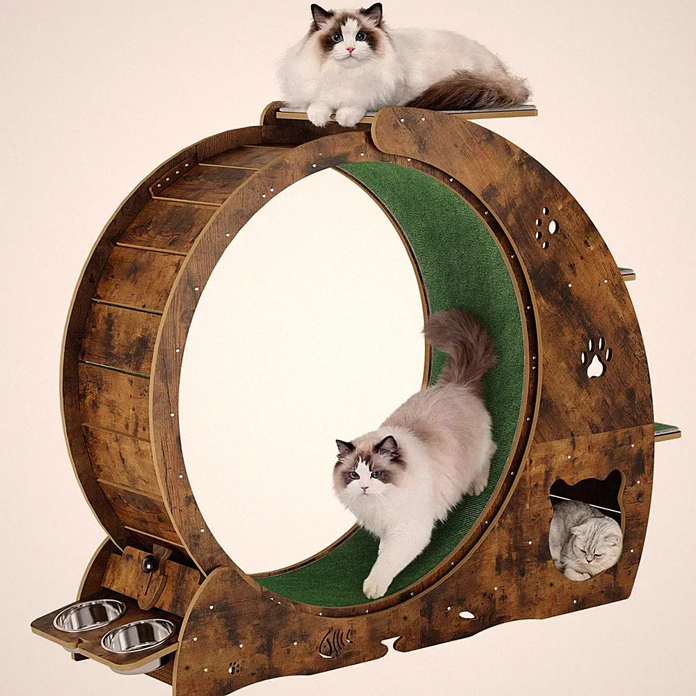 6IN1 Laufrad für Katzen Katzenlaufrad Laufrad Katzen Laufband Mit Kratzbäume