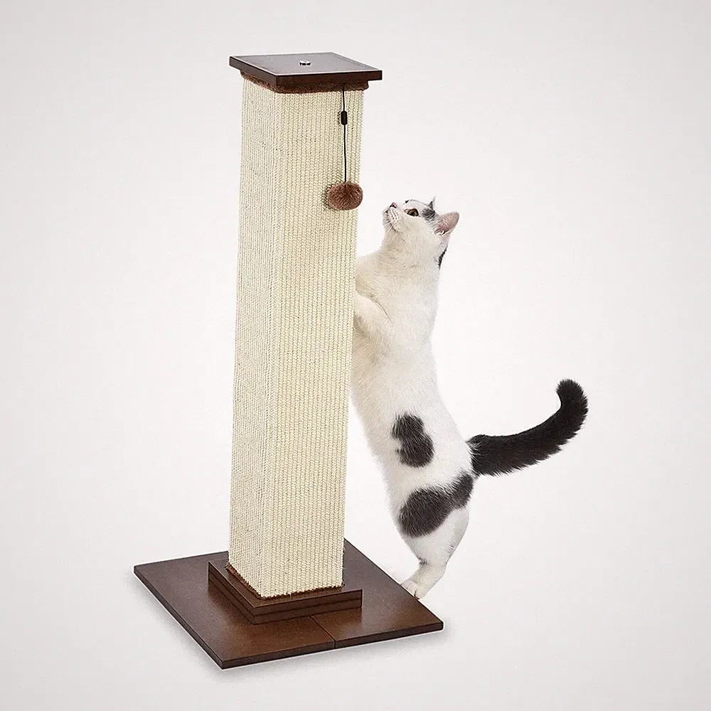 Amazon Basics Katzenkratzbaum für Katzen im Innenbereich robust mit Holzboden 90