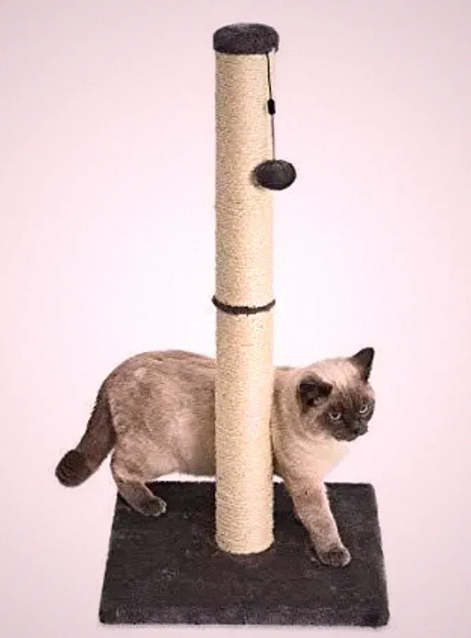 Amazon Basics Medium Katzenkratzbaum - 16 x 16 x 32 Zoll, grau