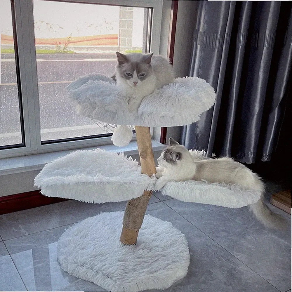 kratzbaum katze blume