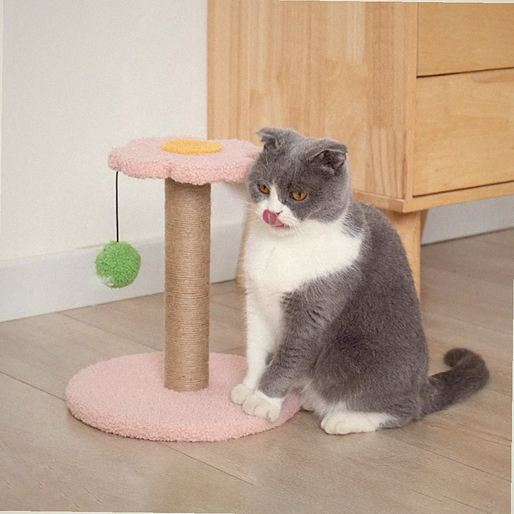 Cat Scratch Post Scratcher Interaktives Spielzeug Grind Claw Pet Supplies