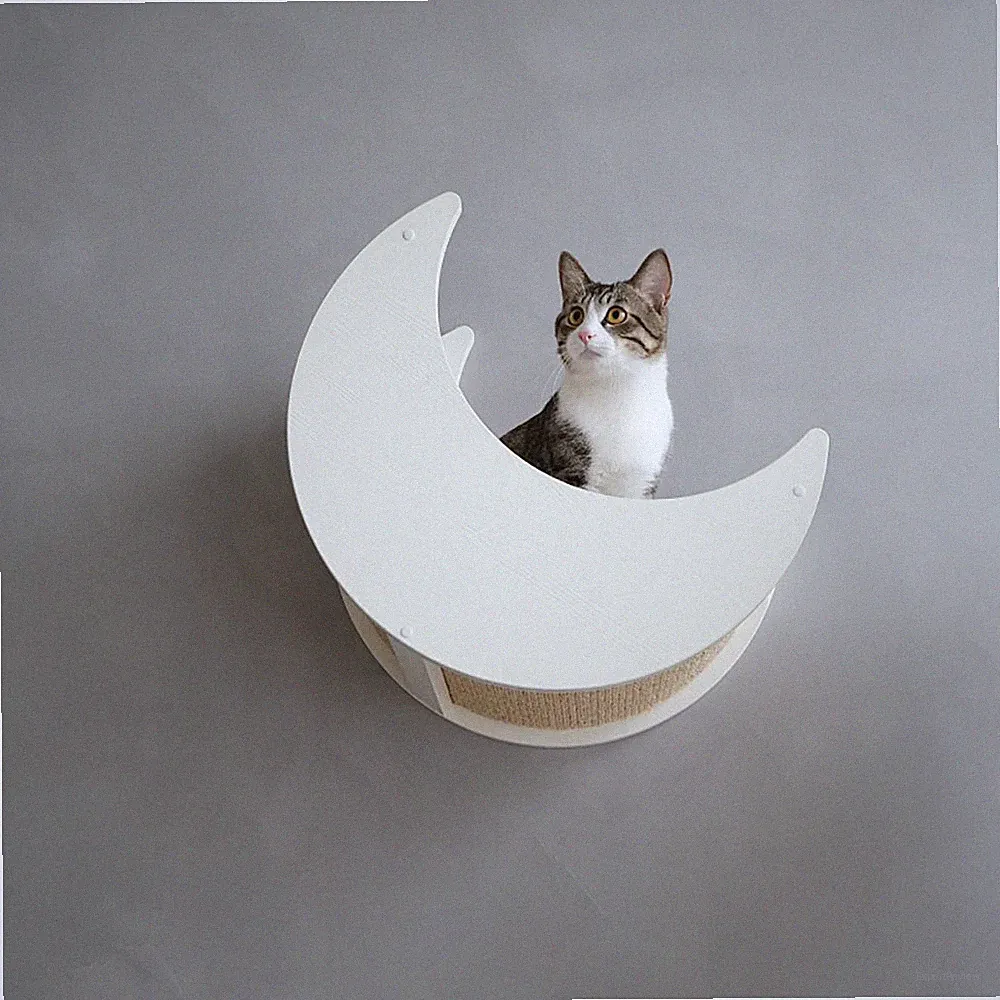CatS Design Kletterwand große Katzen stabil Wandkratzbaum Wandbett Mond F7