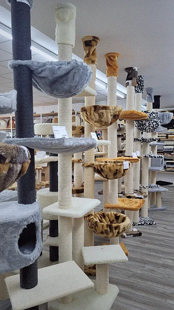 Deckenhoch Kratzbaum Beige 230-276cm höhenverstellbar Deckenspanner Katze