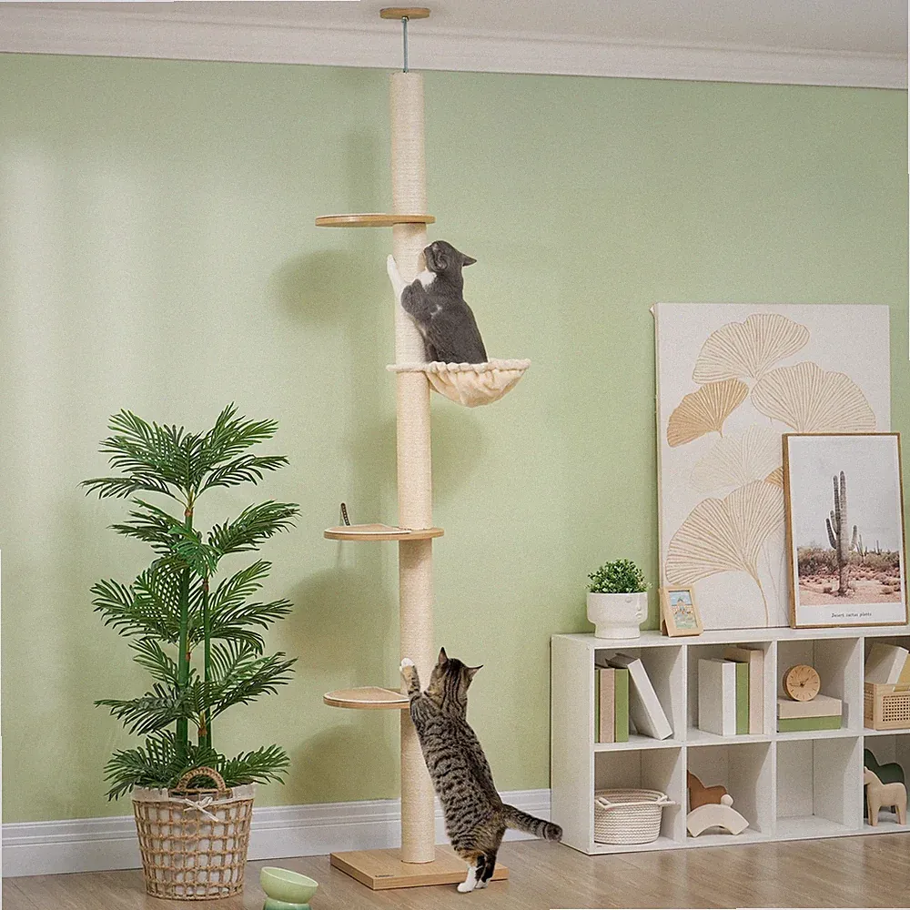 Deckenhoher Kratzbaum, Anti-Kipp-Sicherung, Sisal-Seilpfosten, Holzwerkstoff, Ei