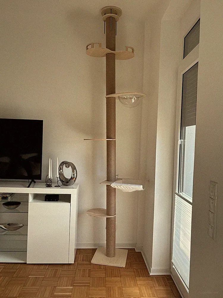 Deckenspanner für Katzen bis 3,10 Meter