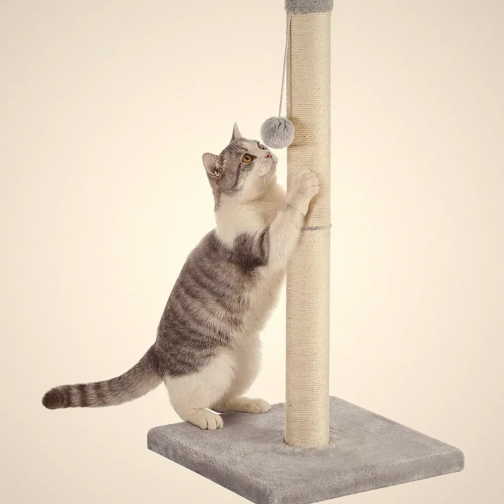 Elegante Kratzsäule für große Katzenrassen - 84 cm hoch, hellgrau mit Plüschball