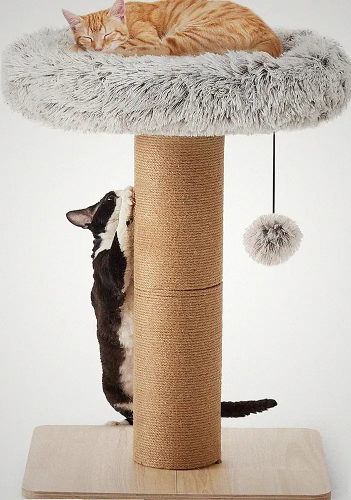 FUKUMARU Katzenkratzbaum 71 cm 53 cm Plattform Jute Holz