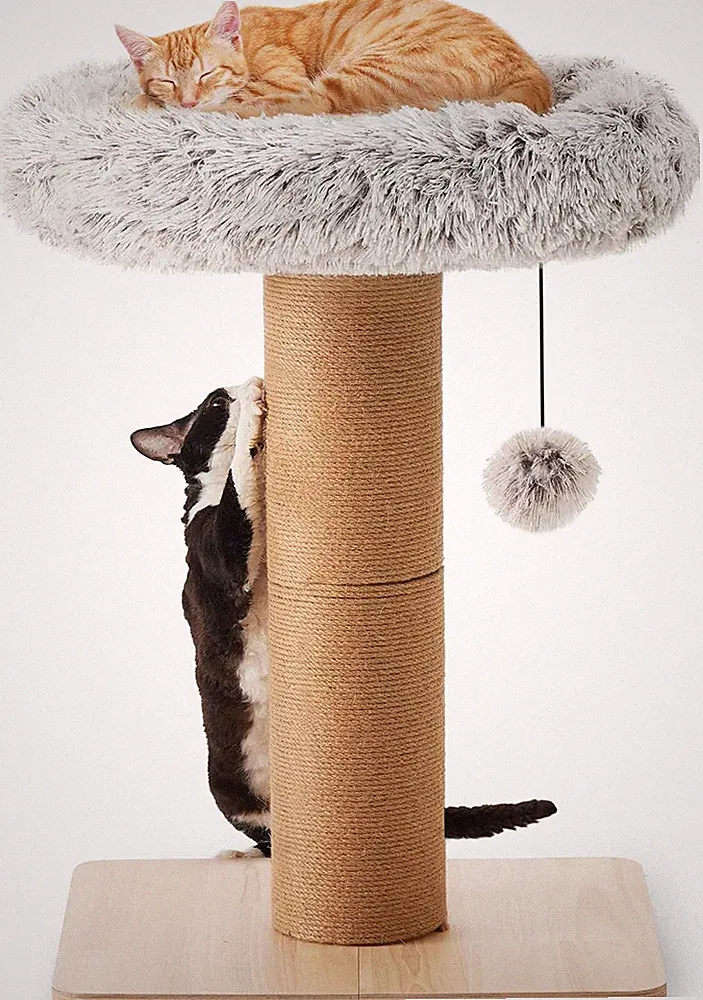 FUKUMARU Katzenkratzbaum, 71 Cm Hoher Kratzturm, Durchmesser Von 14 Cm Dicker Ju