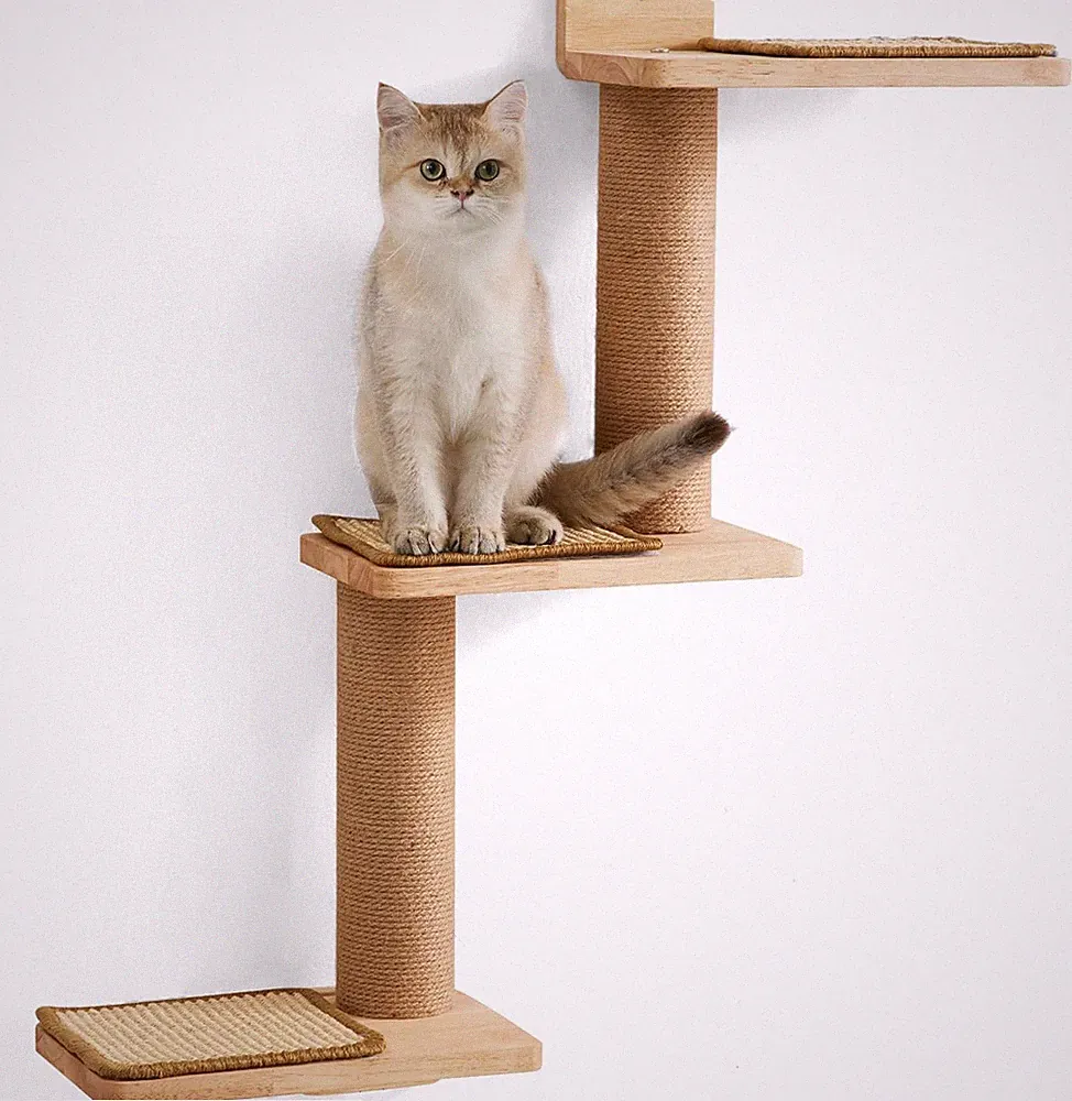 FUKUMARU Kletterwand Katzen Massivholz Jute 3-in-1 Kratzbaum Wandmontage DIY