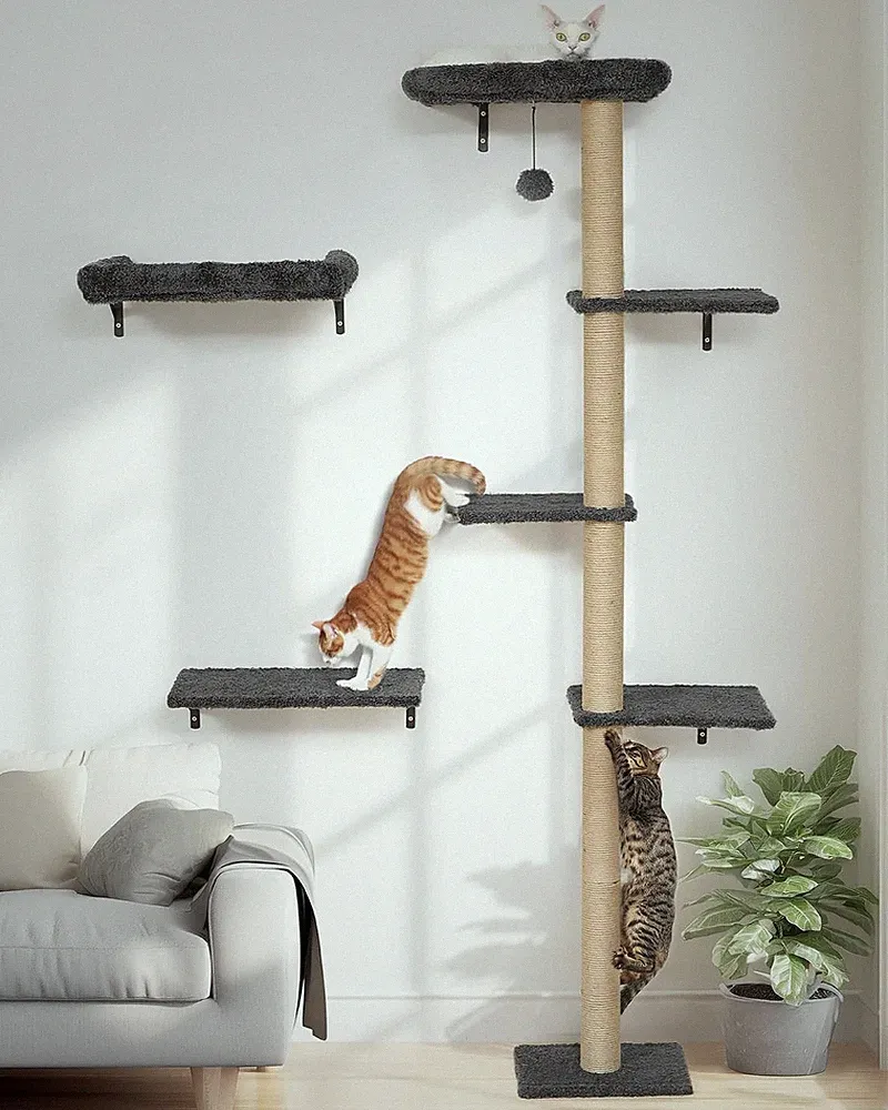 FUKUMARU Kletterwand Katzen-Set 178 cm Hoch, Grau, 3-in-1 Kratzbaum mit Bett