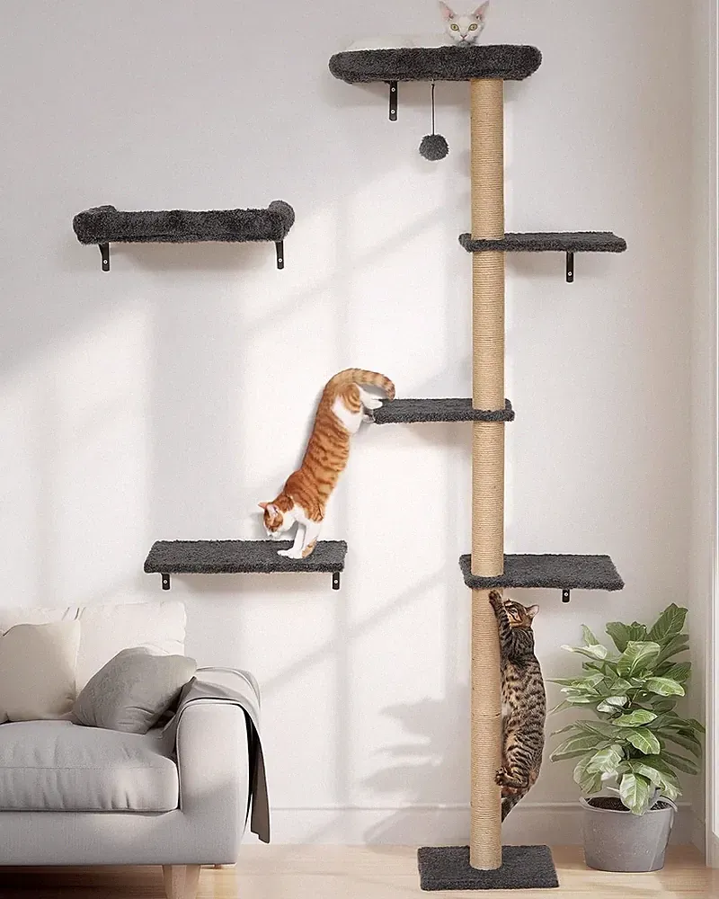 FUKUMARU Kletterwand Katzen-Set 178 cm Hoch, Kratzbaum mit 1 Bett, 1