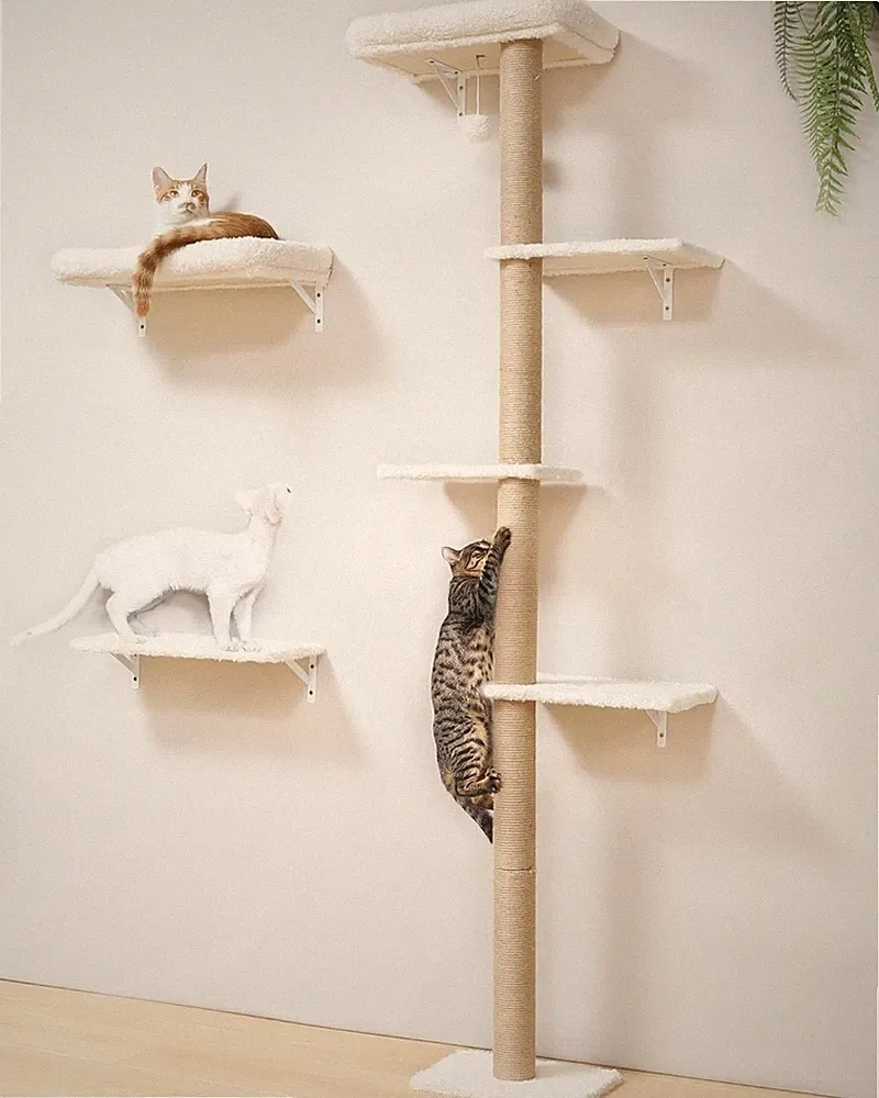 FUKUMARU Kletterwand Katzen-Set 178cm 3-in-1 Kratzbaum Holz Möbel Beige
