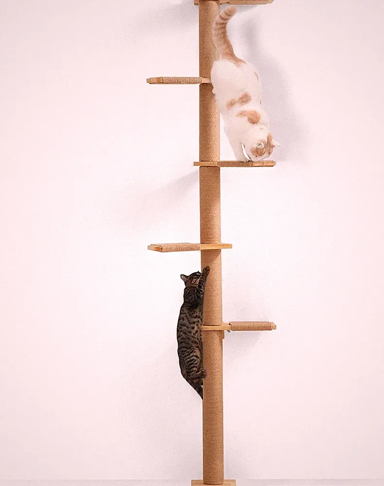 FUKUMARU Kratzbaum 206 cm Wandmontierter Katzenbaum aus Gummibaumholz 5 Etagen