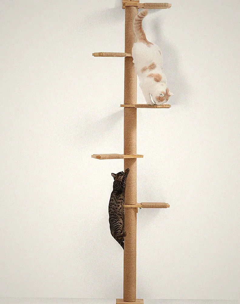 FUKUMARU Kratzbaum