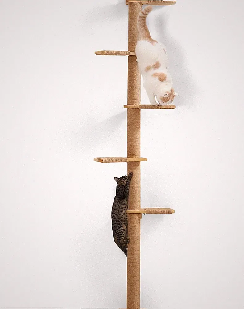 FUKUMARU Kratzbaum, 5 Etagen Bis Zur Decke Reichender Katzenturm(206 Cm), Wandmo