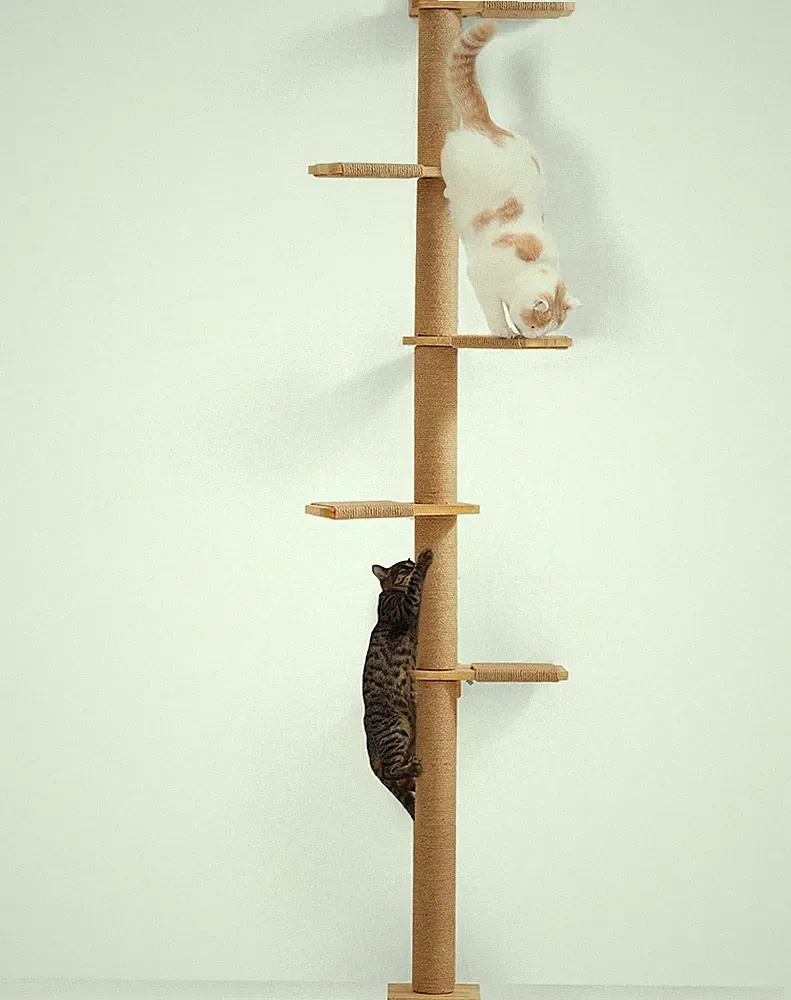 FUKUMARU Kratzbaum 5 Etagen Wandmontage 206 cm aus Gummibaumholz für Katzen