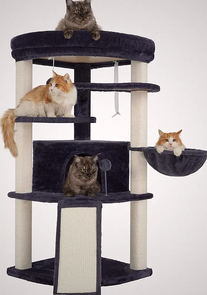 Gitelsnour Eck-Kratzbaum, Katzenbaum Für Innenbereich, Mehrstöckiges Katzenkratz
