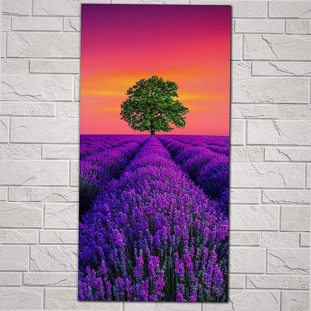 Glasbilder Wandbild Baum-und Lavendelfeld im Sonnenuntergang 50x100