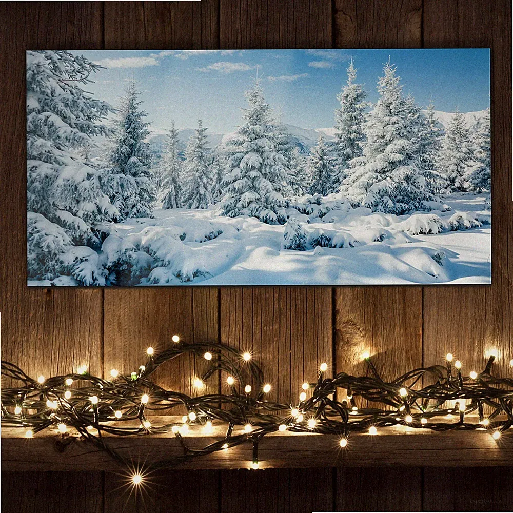 Glasbilder Wandbild Druck auf Glas 100x50 Winterbaum verschneiter Weihnachtstag