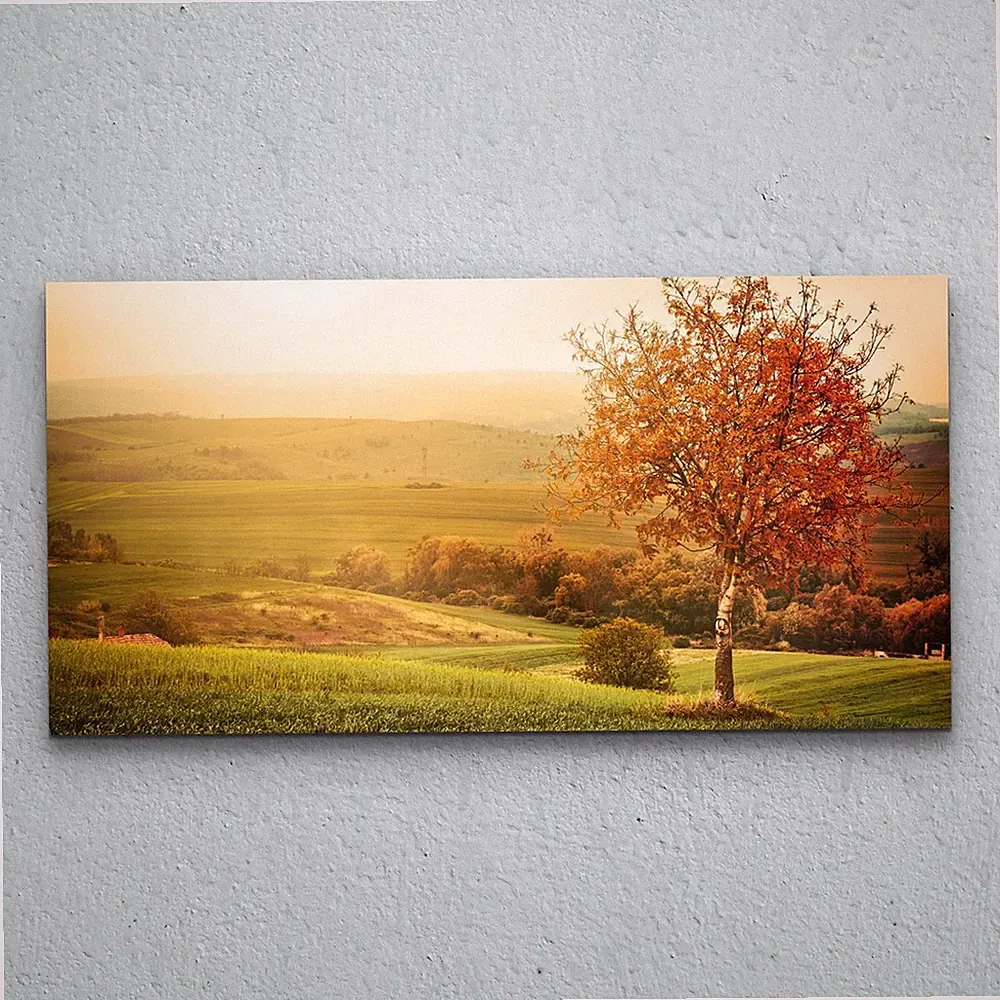 Glasbilder Wandbild Druck auf Glas Schlafzimmer 100x50 Baum auf der Wiese