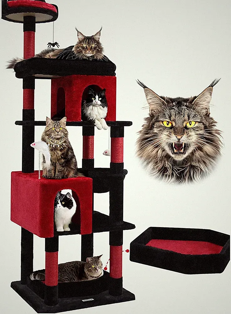 kratzbaum für schwere katzen