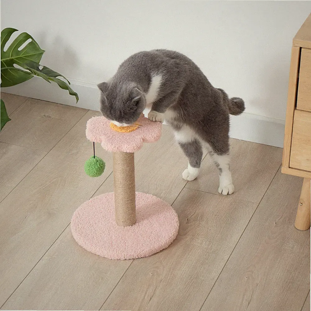 Haustier Katze Kratzbaum Interaktives Spielzeug Scratcher Activity Center mit Ball