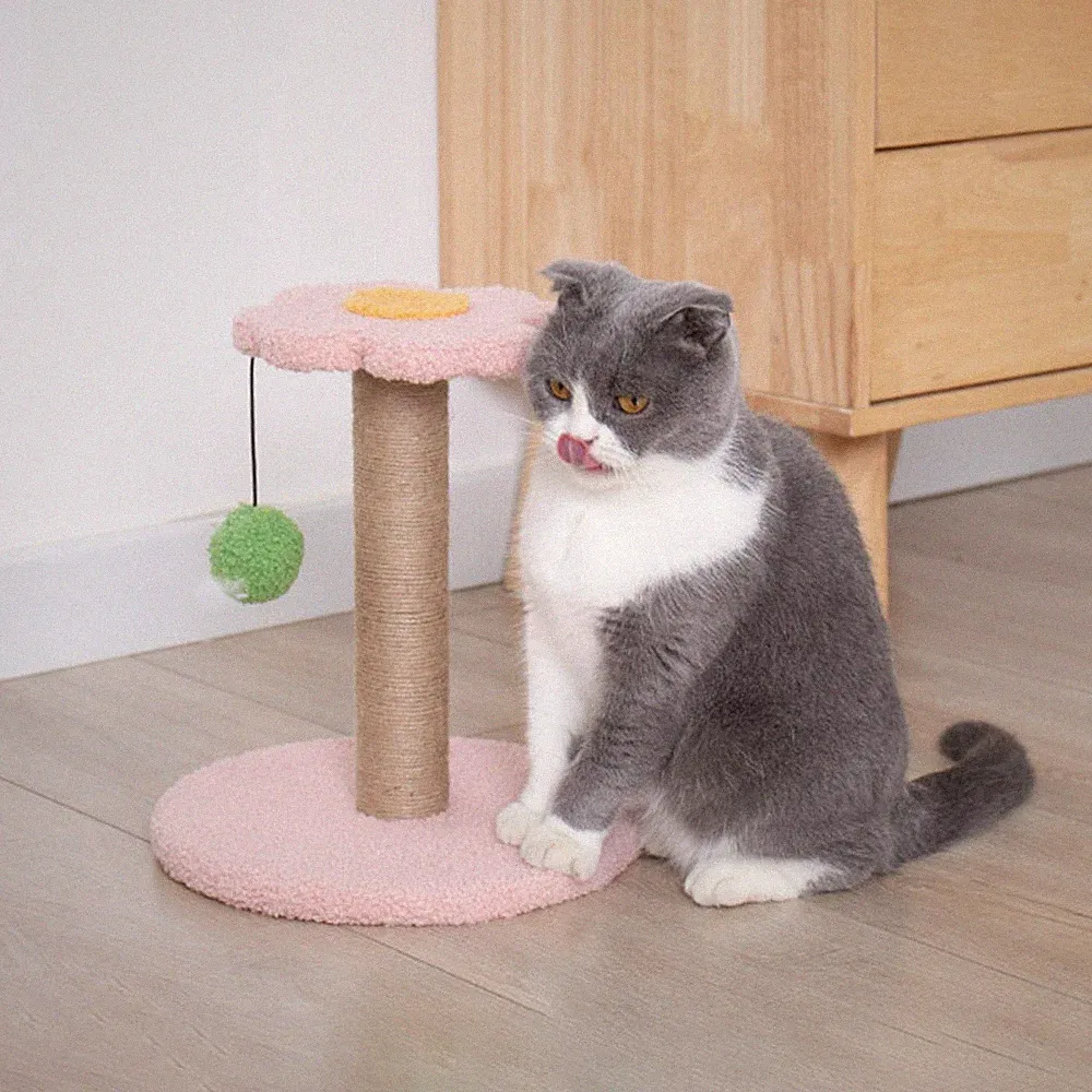 Haustier Katze Kratzbaum Kratzbaum Interaktives Spielzeug Activity Center Regal Sisal