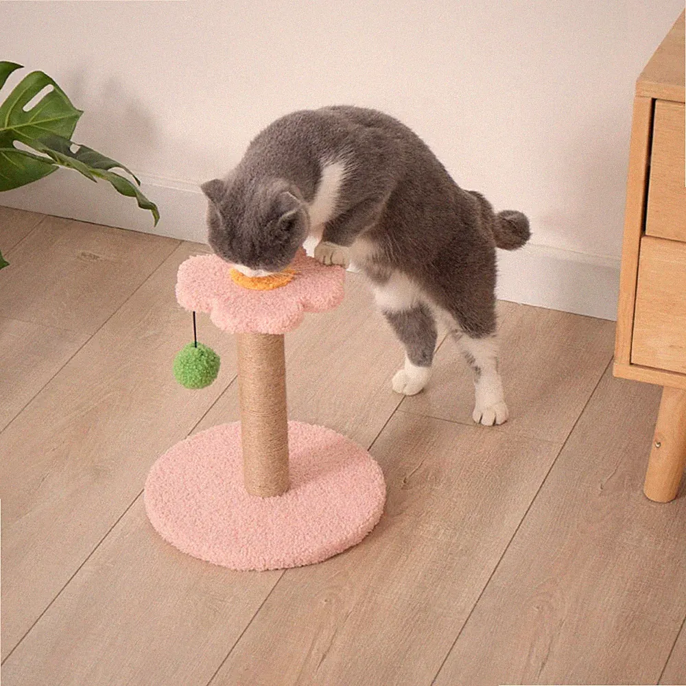Haustier Katzenkratzer, interaktives Spielzeug, Aktivitätszentrum, Training