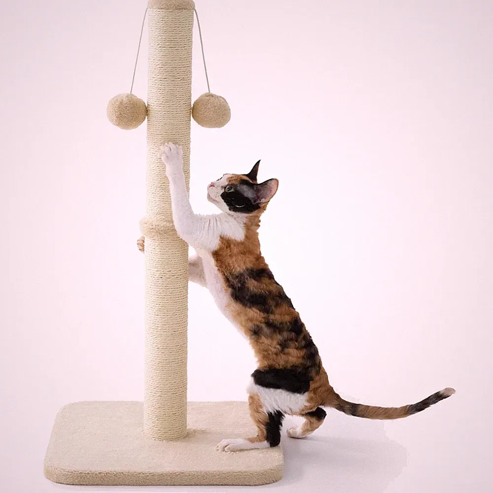 Katz Kratzsäule Kratzbaum Sisal Spielball beige Stabil groß