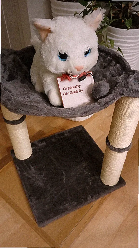 Katze Kletterwand Hängematte Kratzbaum Spielzeug Tier Haushalt Zubehör Neu