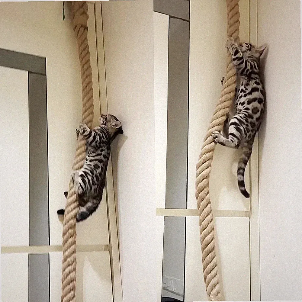 Katzen Kletterseil mit Haken Wand Deckenmontage Kratzbaum Spielzeug