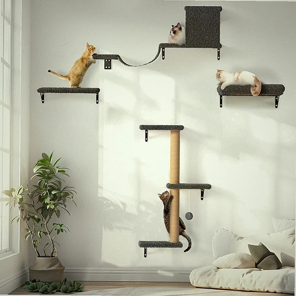 Katzen Kletterwand Set Kratzbaum Wandmontage Hängematte Grau