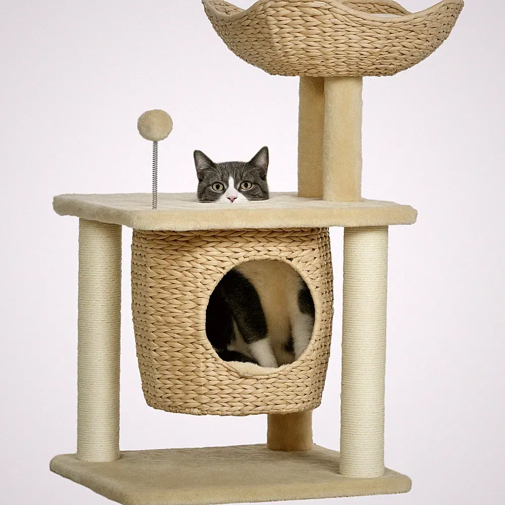 Katzen Kratzbaum Klein, 74 cm Katzenbaum mit Katzenhöhle, Spielball, Bett, Beige