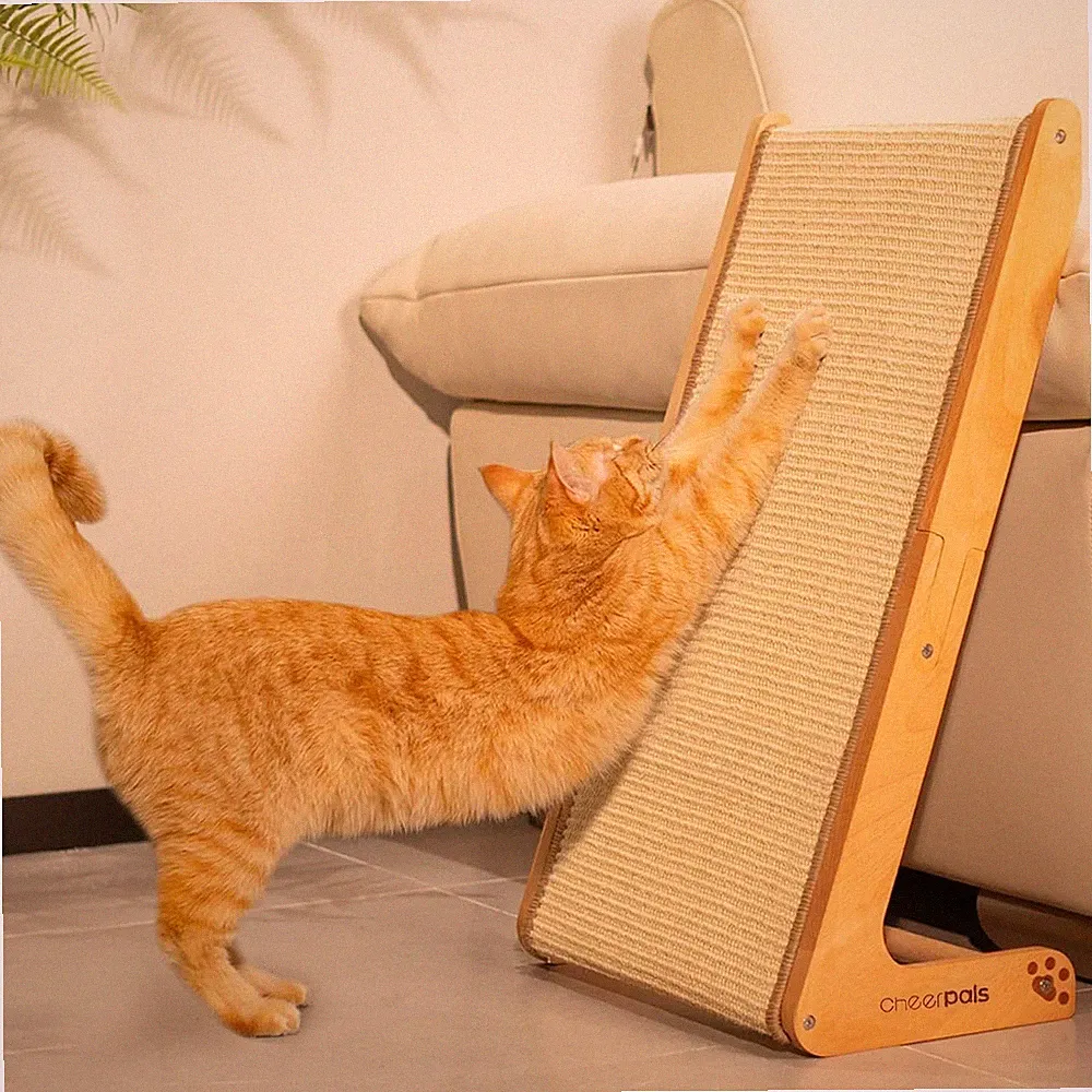 Katzen Kratzbrett Massivholz Buche 63 cm – Wand- oder Untersofa-Kratzmöbel