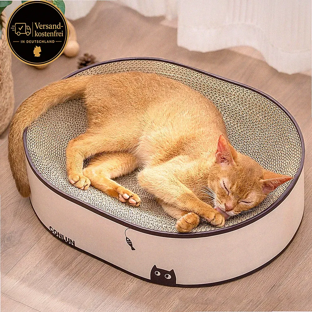 Für kleine Katzen Kratzbrett