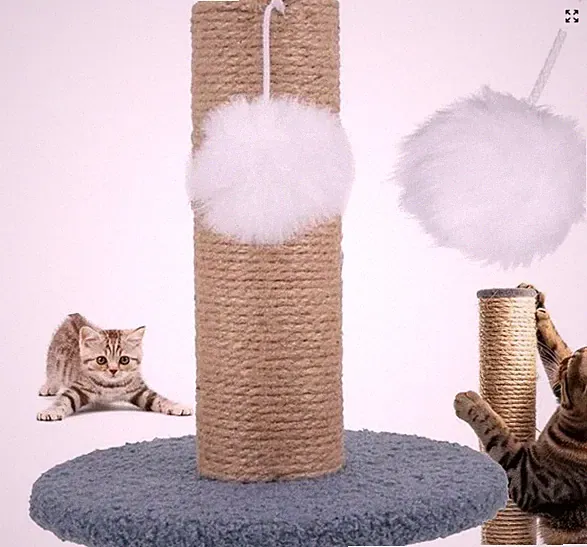 Katzen Kratzsäule 23 cm Kratzbaum mit Ball Spielzeug für Katzen