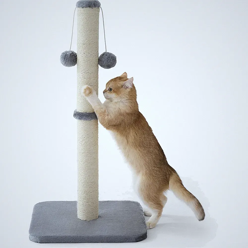 Katzen Kratzsäule Kratzbaum Mittelgroß Sisal Hängespielball Grau