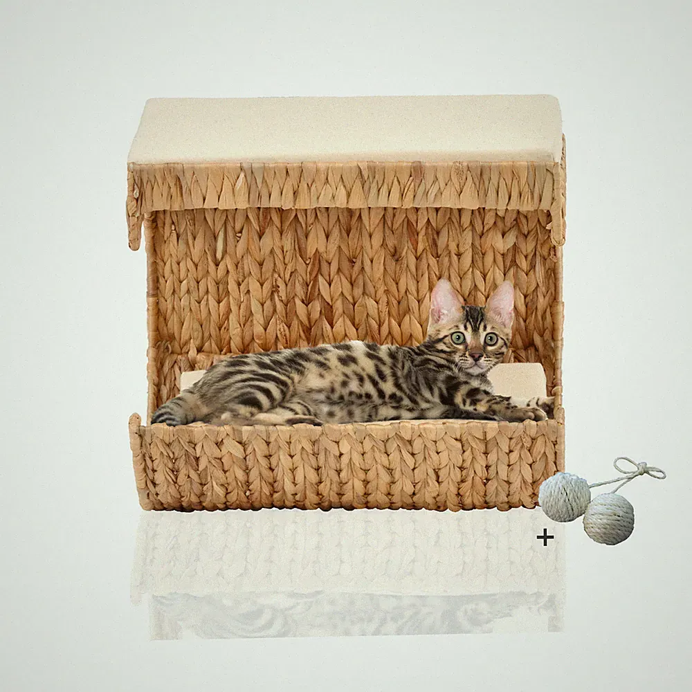 Katzen Liegemulde Cäsar | Kuschelhöhle für Kratzbaum | Wandliege Katze