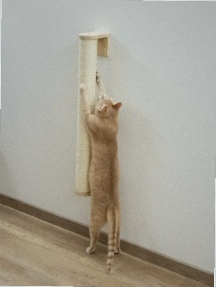 Katzen Wand Kratzsäule Kratzstamm Kletterstamm Kratzbaum mit Sisal 77 cm