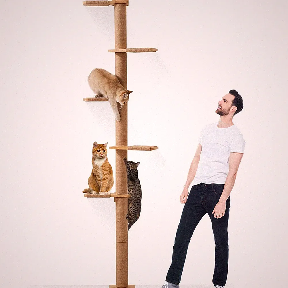 Katzenbaum, 5 Etagen Kratzbaum für Katzen206 cm, Katzenbaum vom Boden bis zur...