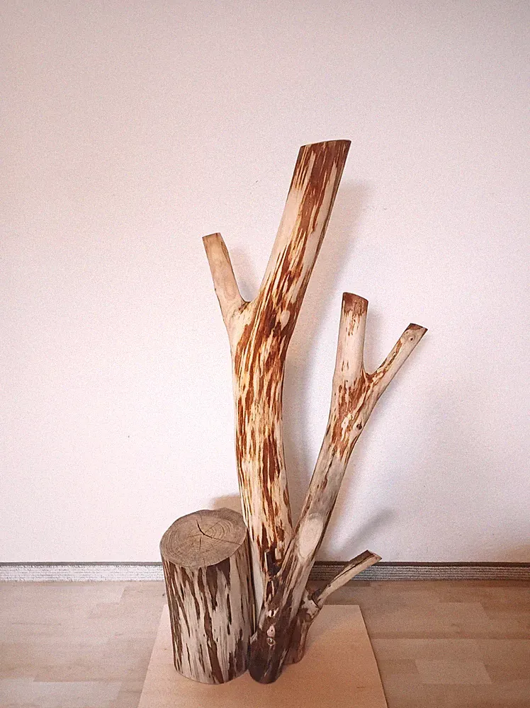 Katzenbaum Kratzbaum Baumstamm Natur Holz Ulme Unikat Handmade 1,11m