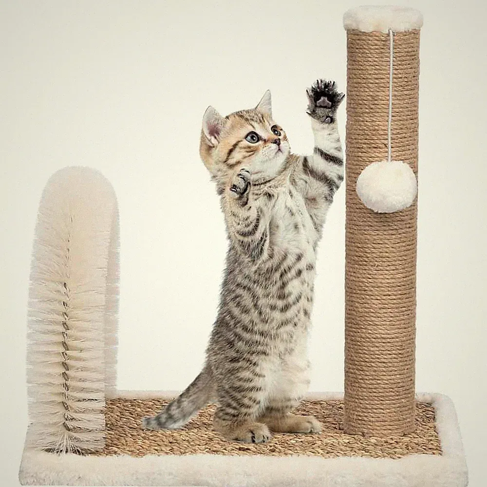 Katzenbaum mit Fellpflegebogen Kratzsäule Kratzbaum Katzenkratzbaum vidaXL