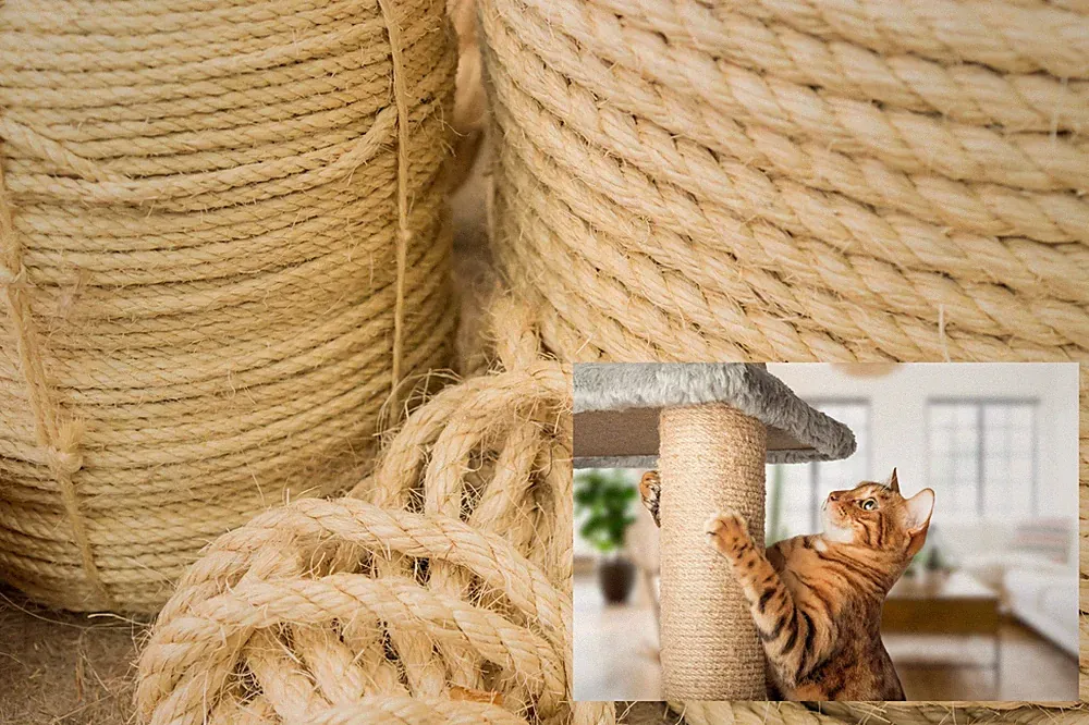 Katzenkratz Ersatz unbehandeltes Natur Sisalseil 6mm-12mm verschiedene Längen