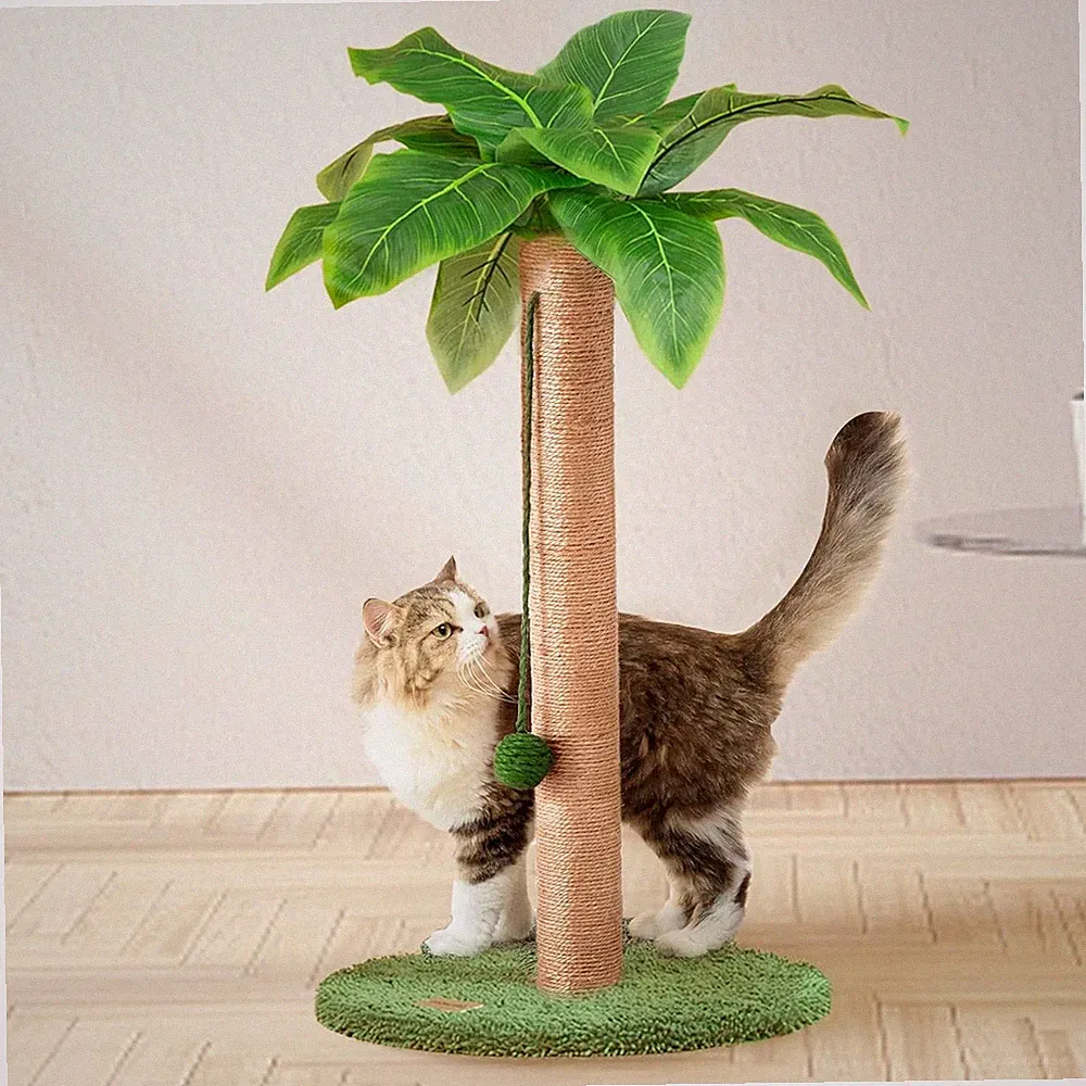 Katzenkratzbaum 60 cm: Sisalseil & baumelnde Bälle, Wohnungskatzen