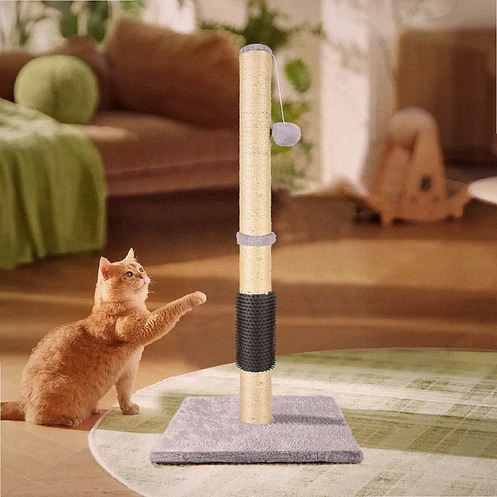 Katzenkratzbaum 80CM Kätzchen Sisalseil klein groß Kratzer Spielen Spielzeug