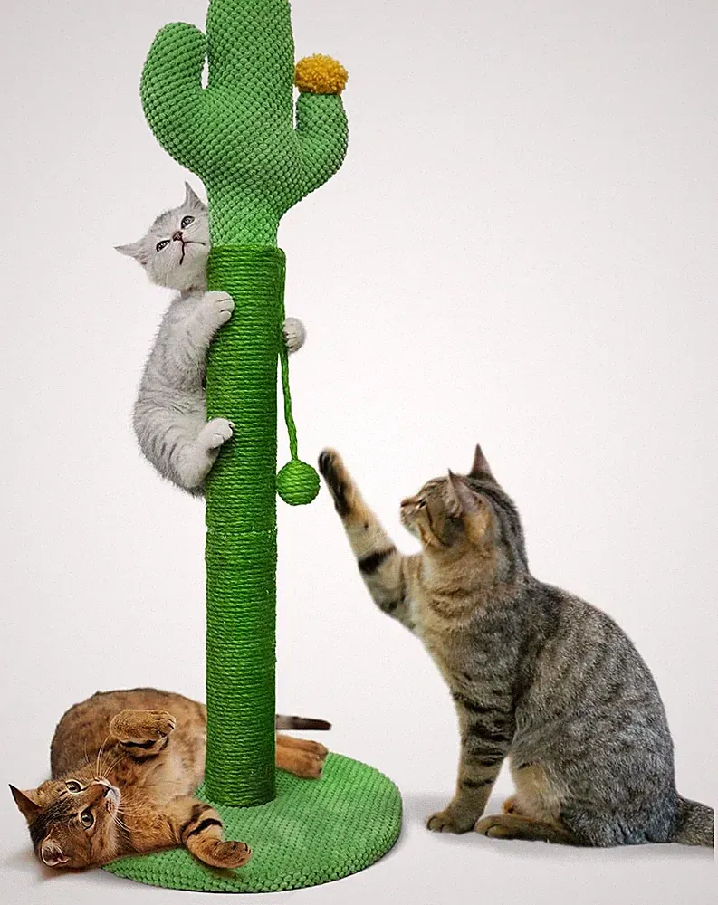 Katzenkratzbaum 83 cm groß Kaktus Design Sisalseil mit Ball stabiler Standfuß