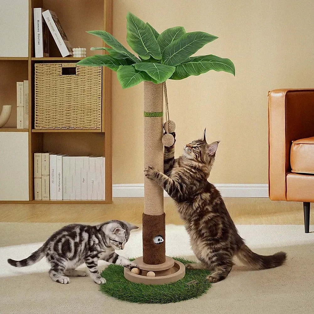 Katzenkratzbaum 90 cm Hoch mit Spielzeug Mausloch Holzball für Indoor-Katzen