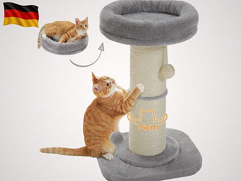 Kratzbäume für große Katzen