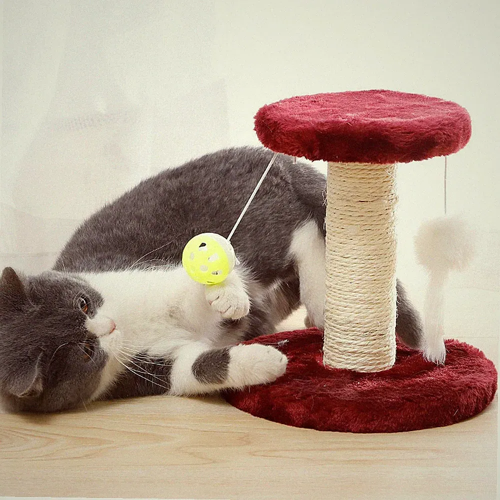 Katzenkratzbaum Katzenbaum mit Ball Spielzeug interaktiv süß Katzenkratzbrett